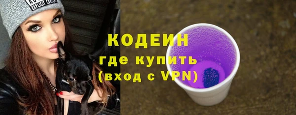сатива Богданович