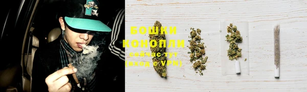 винт Белокуриха