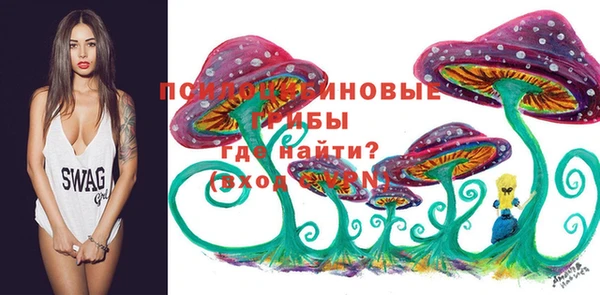дмт Беломорск