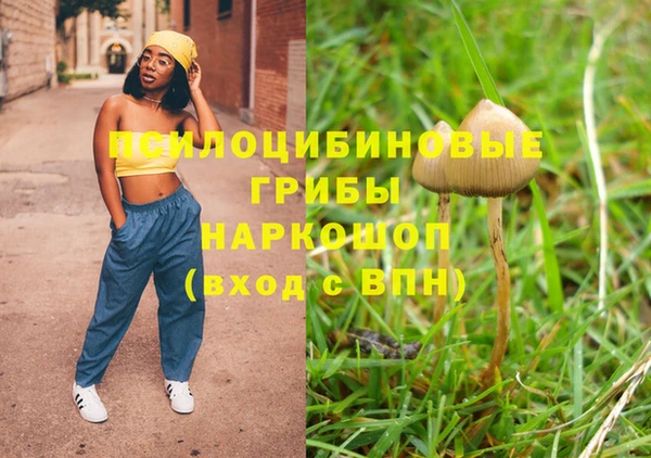 сатива Богданович