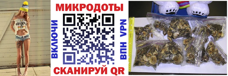 Купить закладки  Орлов  Псилоцибиновые грибы мицелий 